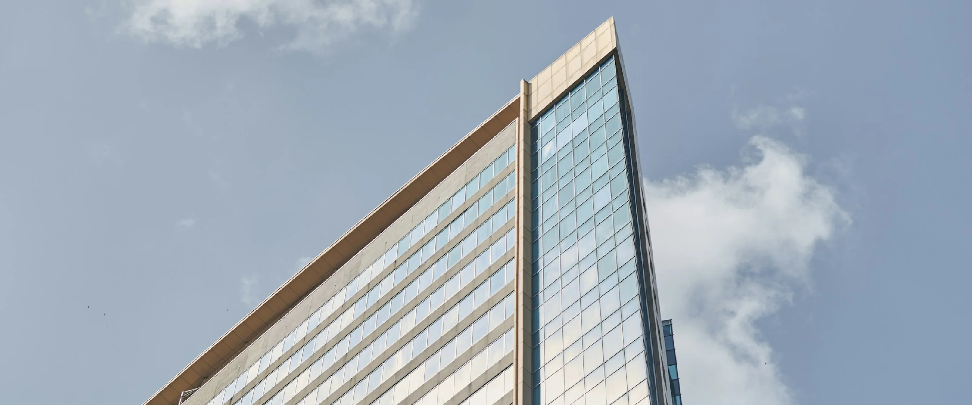 Dynamic Content Image